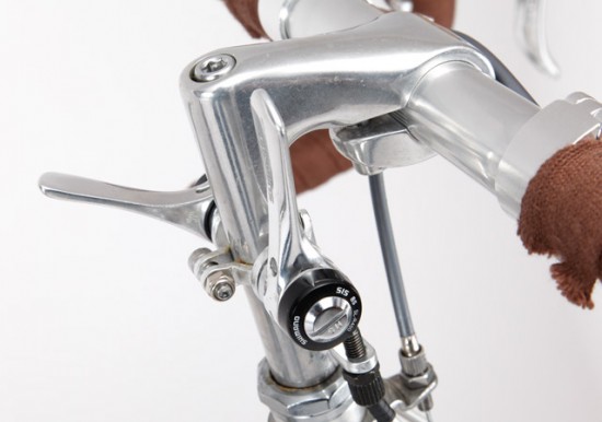 B_ant_Minivelo_3