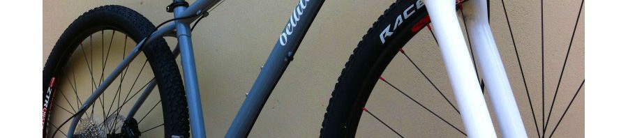 bellitanner_29er_3